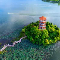 阜阳