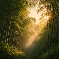 宜宾